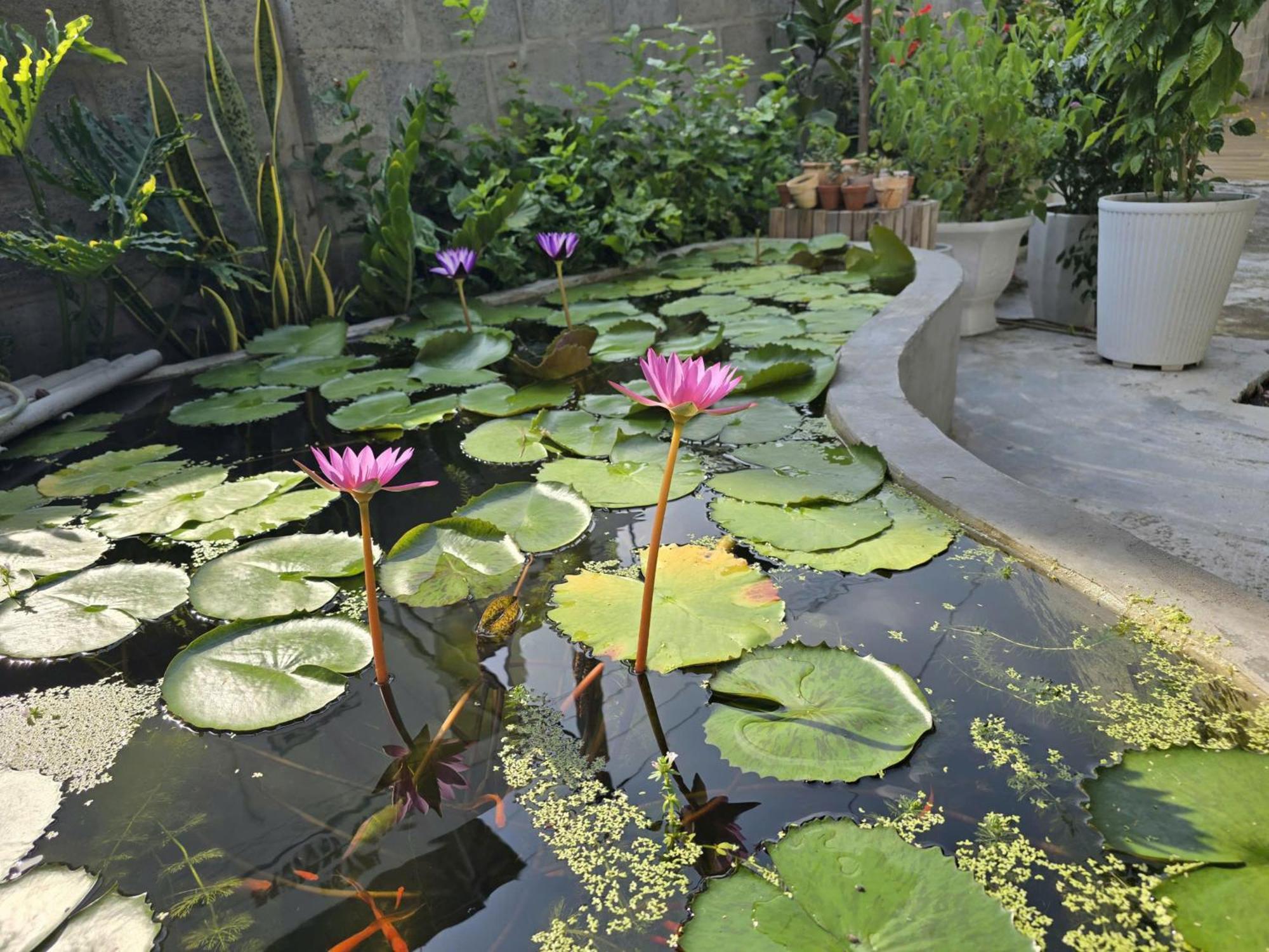 Lac House มุยเน่ ภายนอก รูปภาพ
